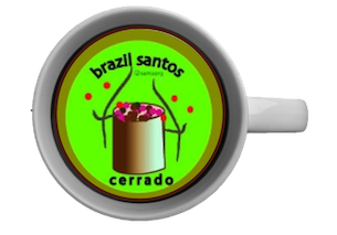 Brazilianincup
